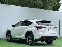 Lexus NX 2020 200 AWD Fengshang Edition National VI - фото 9
