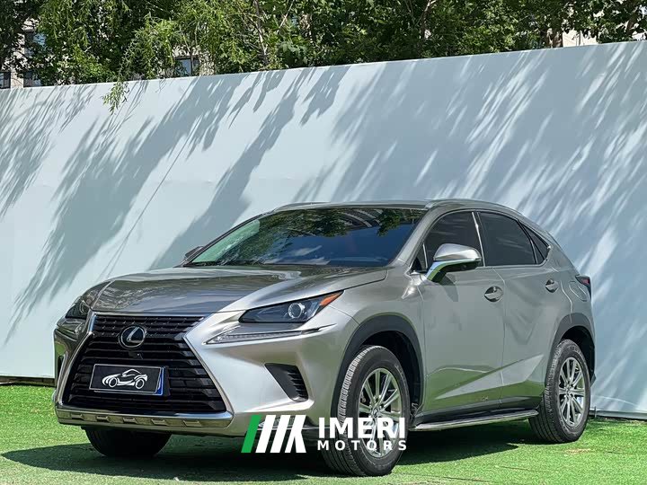 Lexus NX 2020 200 AWD Fengshang Edition National VI - автомобиль из Китая