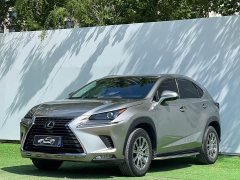 Lexus NX 2020 200 AWD Fengshang Edition National VI - фото 1