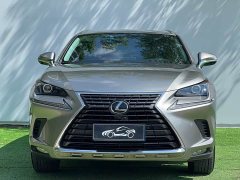 Lexus NX 2020 200 AWD Fengshang Edition National VI - фото 2
