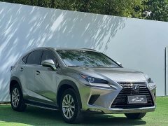 Lexus NX 2020 200 AWD Fengshang Edition National VI - фото 3