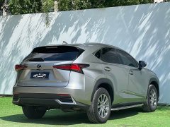 Lexus NX 2020 200 AWD Fengshang Edition National VI - фото 7