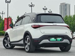 smart #1 Pro - фото 11