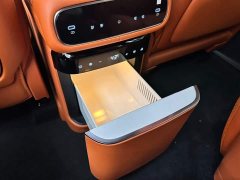 Geely Galaxy M9 230km 2WD Exploration Edition - фото 16