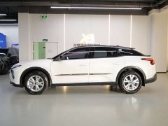 Lexus Versailles C5 X 2023 1.6T original customized version - фото 4