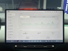 Xpeng P7 super long battery life Max flagship version - фото 10