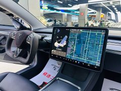 Tesla Model 3 facelift standard range rear drive upgraded version 3D1 - фото 13