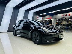 Tesla Model 3 facelift standard range rear drive upgraded version 3D1 - фото 3