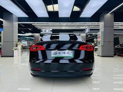 Tesla Model 3 facelift standard range rear drive upgraded version 3D1 - фото 5