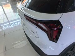 Geely Geometry E Firefly 401KM Linglong Tiger 4 seats - фото 16