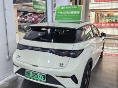 BYD Dolphin smart driving version 410km fashion version - фото 13