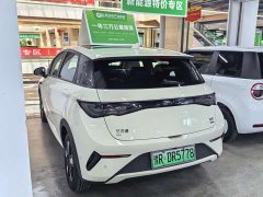 BYD Dolphin smart driving version 410km fashion version - фото 15