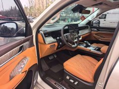 Tank 500 3.0T sports version, environment type, 5 seats - фото 4