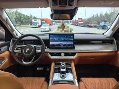 Tank 500 3.0T sports version, environment type, 5 seats - фото 6