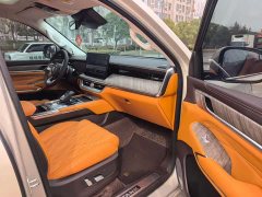 Tank 500 3.0T sports version, environment type, 5 seats - фото 8