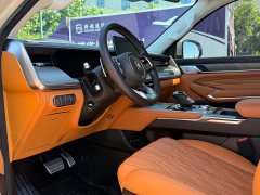 Tank 500 3.0T Business Edition Landscape Type 5 Seats - фото 5