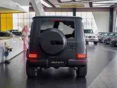 Mercedes-Benz G-Class G 500 - фото 17