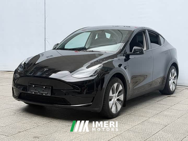 Tesla Model Y 2022 rear-wheel drive version - автомобиль из Китая