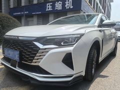 BMW Yixuan MAX 1.5T super cool fashion dad version - фото 1