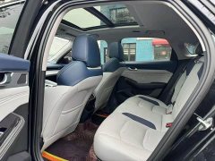 Tesla Xingrui 2023 2.0TD Premium - фото 11