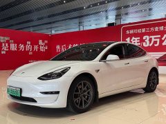 Tesla Model 3 2022 rear-wheel drive version - фото 1
