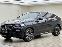 BMW X6 xDrive30i M Sports Package - фото 1