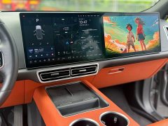 Li Auto Ideal L8 Pro - фото 10