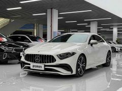 Mercedes-Benz CLS 300 Dynamic - фото 1