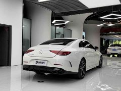 Mercedes-Benz CLS 300 Dynamic - фото 10