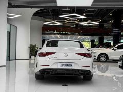Mercedes-Benz CLS 300 Dynamic - фото 11