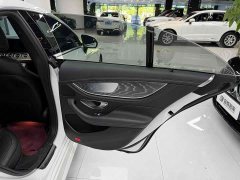 Mercedes-Benz CLS 300 Dynamic - фото 14