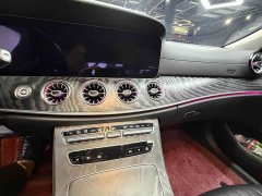 Mercedes-Benz CLS 300 Dynamic - фото 19