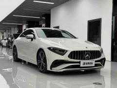 Mercedes-Benz CLS 300 Dynamic - фото 3