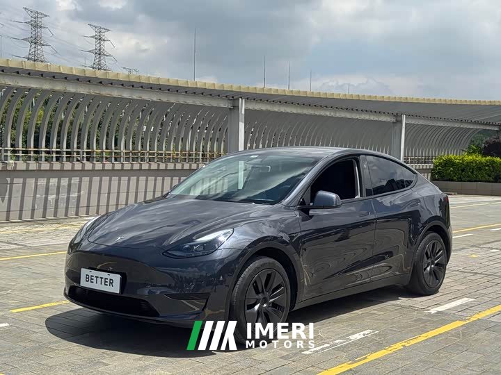 Tesla Model Y rear-wheel drive version - автомобиль из Китая