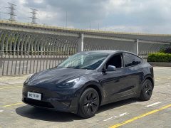 Tesla Model Y rear-wheel drive version - фото 1