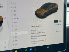 Tesla Model Y rear-wheel drive version - фото 9