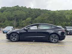 Tesla Model 3 Standard Range Rear Drive Upgraded Version - фото 10