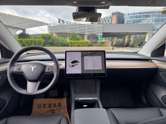 Tesla Model 3 Standard Range Rear Drive Upgraded Version - фото 13