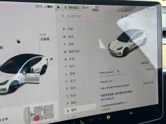 Tesla Model 3 Standard Range Rear Drive Upgraded Version - фото 17