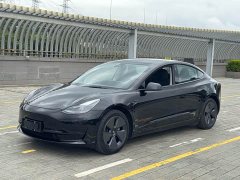 Tesla Model 3 Standard Range Rear Drive Upgraded Version - фото 4