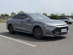 Lexus Han 2020 DM four-wheel drive performance version luxury - фото 3