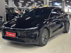 Tesla Model Y L long-range all-wheel drive version - фото 1