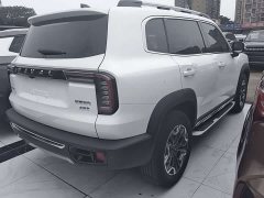 Haval Big Dog 2.0T DCT four-wheel drive Chinese pastoral dog version - фото 13