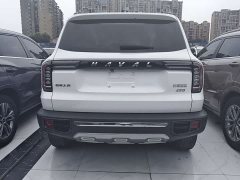 Haval Big Dog 2.0T DCT four-wheel drive Chinese pastoral dog version - фото 15