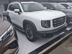 Haval Big Dog 2.0T DCT four-wheel drive Chinese pastoral dog version - фото 3