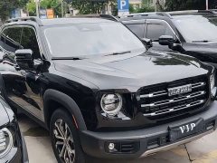 Haval Big Dog 1.5T DCT two-wheel drive Border Collie version - фото 3