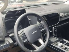 Haval Big Dog 1.5T DCT two-wheel drive Border Collie version - фото 6