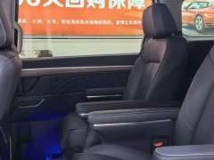 Trumpchi M8 2021 Lead Show Series 390T Exclusive Edition - фото 4