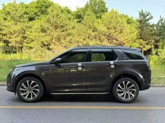Lexus Discovery Sport 2022 249PS Metropolitan Edition 5-Seater - фото 3