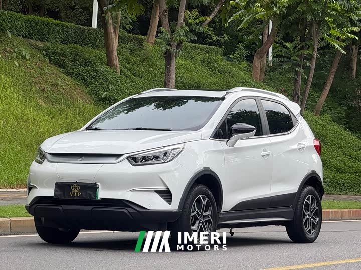 BYD Yuan Pro 2021 401KM Premium Edition - автомобиль из Китая